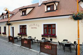 Гостиница Hotel Pelican  Требон